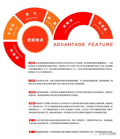 天虹線纜 助力傳統村落煥新顏，守護黔溪村電氣安全